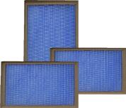 Blue Air Filter